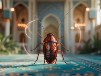 découvrez la signification spirituelle du rêve de cafard en islam et les messages cachés liés à ce symbole. apprenez également comment bénéficier de la protection divine face à ce rêve et interprétez-le selon la tradition musulmane.